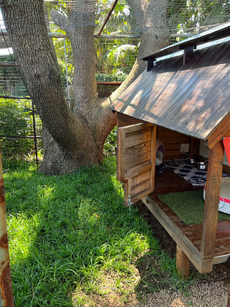 About The Cat Hotel