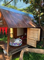 Cat Boarding Rates - Deluxe Garden Rooms