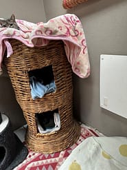 Cat Boarding Rooms - Deluxe Indoor heater