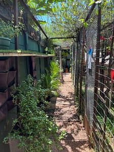 Cattery near me